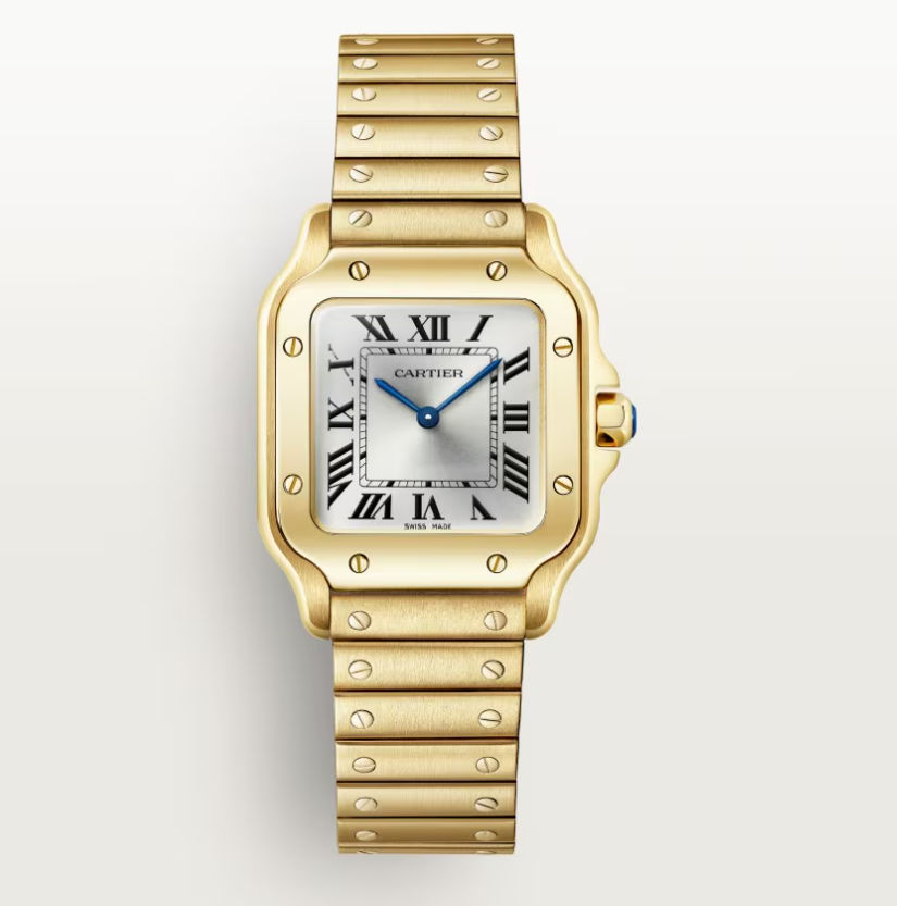 Cartier Santos de Cartier WGSA0107 - New