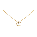 CHANEL COCO NECKLACE