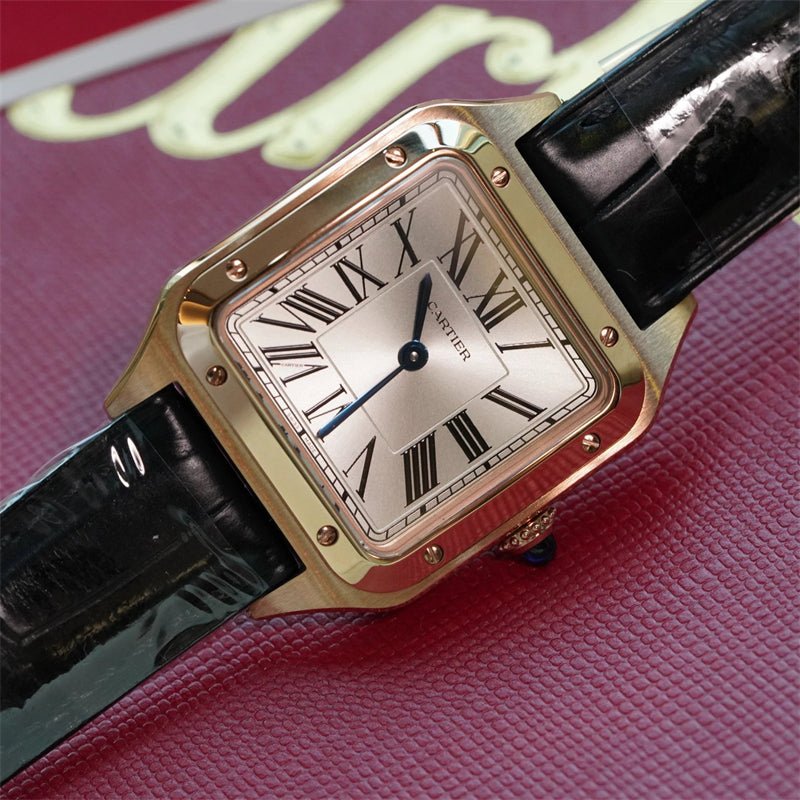 Cartier Santos Dumont LM WGSA0021