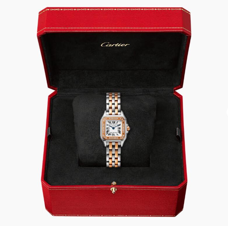 PANTHRE DE CARTIER WATCH