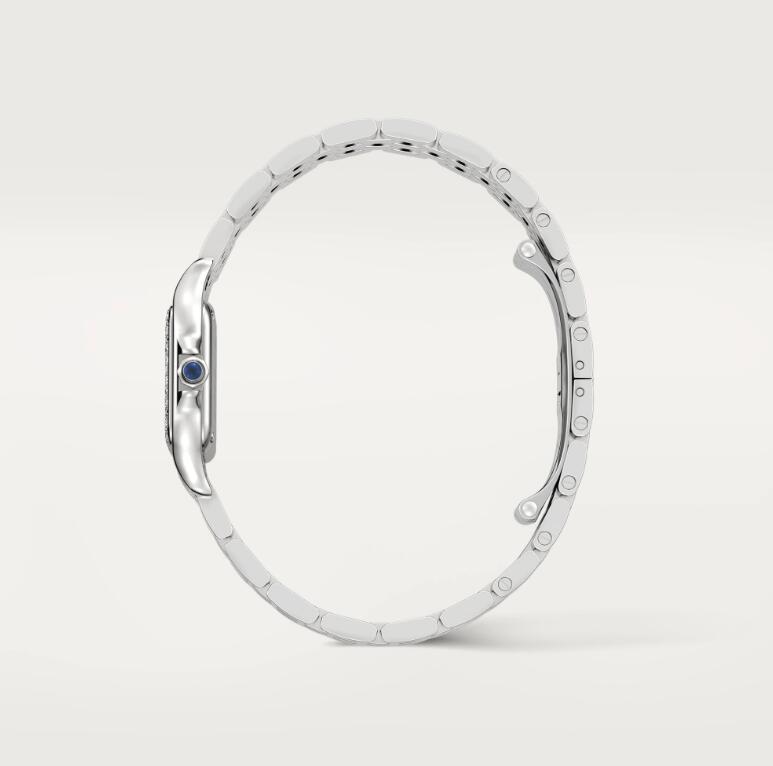 PANTHRE DE CARTIER WATCH